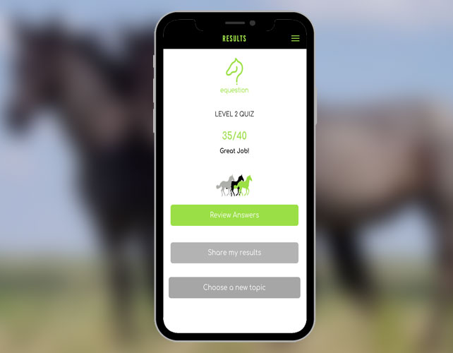 Equestion –Interactive Horse Care Learning Platform 
